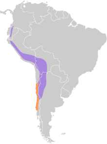 Patagona gigas map.svg