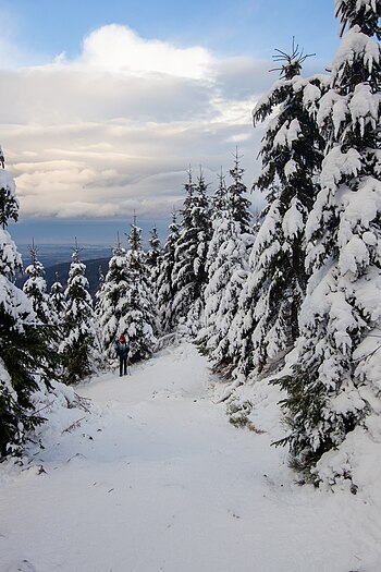 Path to Lysá hora