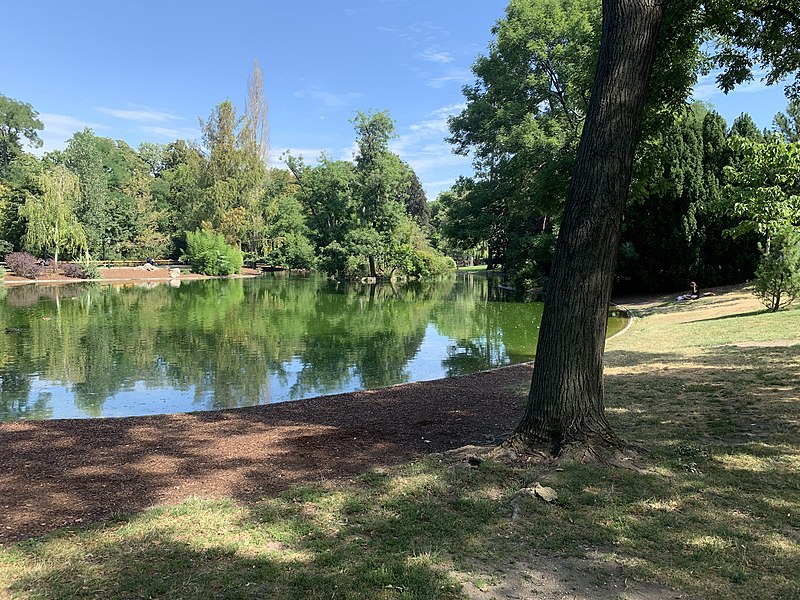 File:Petit lac de Stadtpark (Vienne), août 2019 (2).jpg