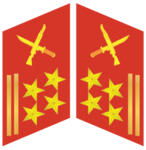 Quân Hàm Quân Đội Nhân Dân Việt Nam: Lịch sử hình thành, Hệ thống cấp hiệu Quân đội nhân dân Việt Nam, Phù hiệu