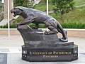 Pitt's Panther 01.JPG