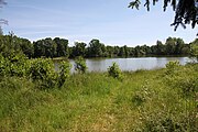 Čeština: Rybník Plánský (7,31 ha) v k.ú. Údolí u Nových Hradů, obec Nové Hrady, okres České Budějovice. English: Plánský pond in Nové Hrady, České Budějovice District, South Bohemian Region, Czechia.