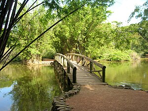 Porto Alegre: História, Geografia, Demografia