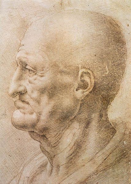 File:Portrait of an old man by da Vinci.jpg