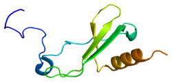 Ақуыз PPBP PDB 1f9p.png