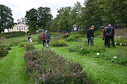 The useful plant section of the Kumpula Garden on September 9, 2006 Puutarha-kumpula.jpg