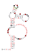 RAGATH-13 Secondary structure taken from the Rfam database. Family RF02688