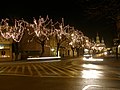 Reymonta street (at Christmas)