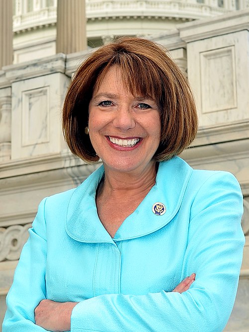 Susan Davis (politician)
