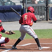 Richmond Flying Squirrels vs. Altoona Curve (8678487333) (oříznuto) .jpg