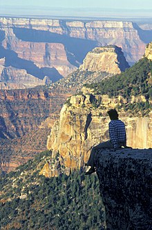 The Coconino Sandstone forms the two prominent white cliffs in the middle distance in this view from the South Rim of the Grand Canyon. Rim view.jpg