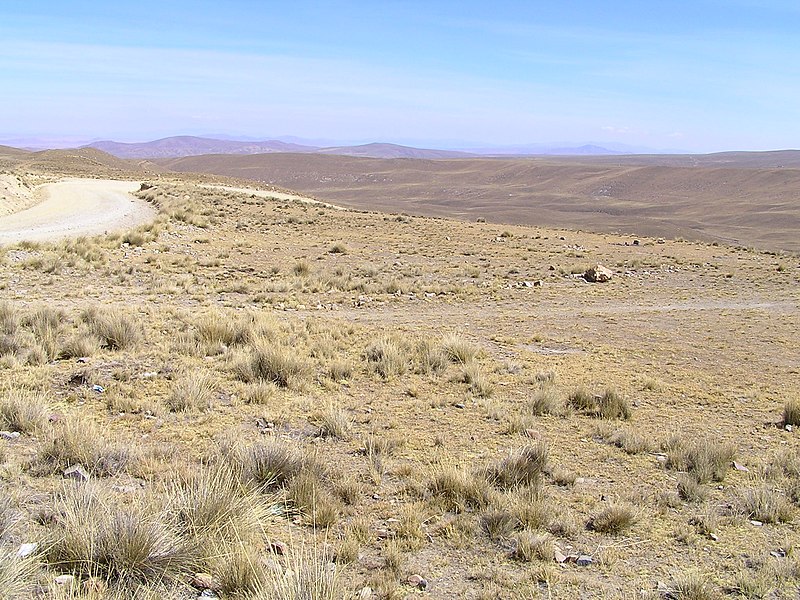 File:Road to Chacaltaya - panoramio.jpg