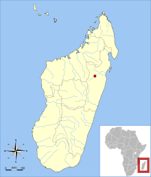 Map of Madagascar off the African coast, showing one red dot slightly northeast of the middle of the island, representing the range of Salanoia durrelli.