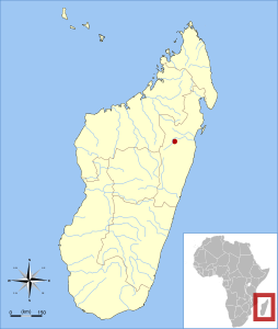Salanoia durrelli range map.svg