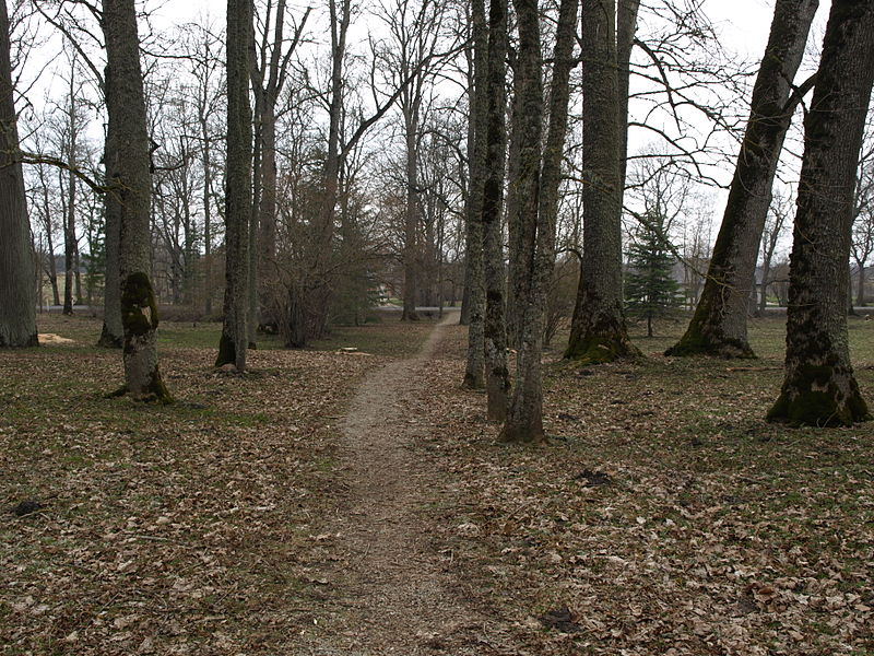 File:Sargvere rüütlimõisa park.JPG