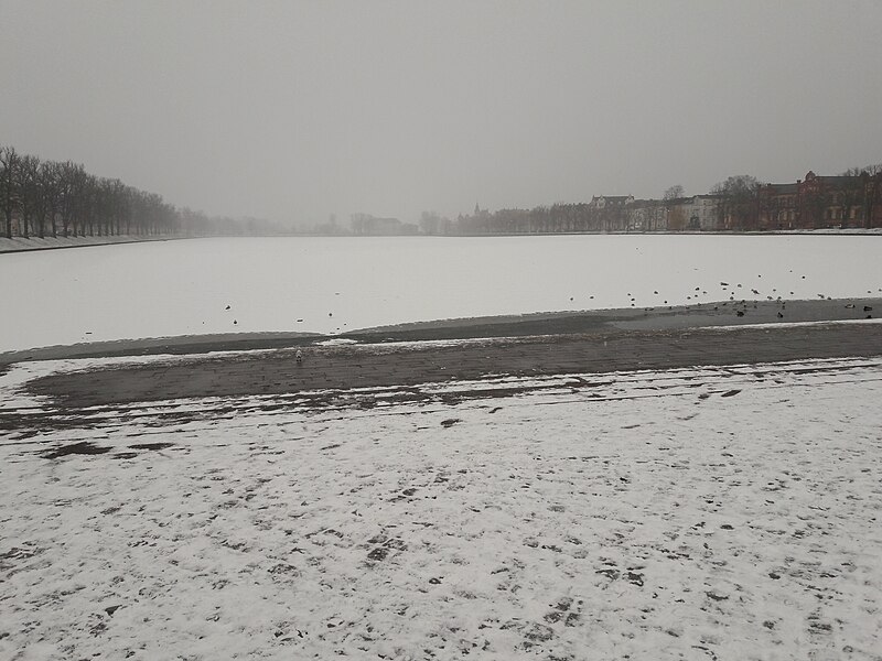 File:Schwerin am 25.2.2018 45.jpg