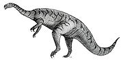 Vignette pour Plateosauridae