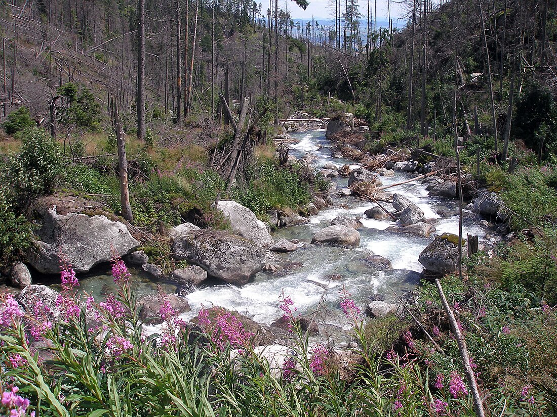 Studený potok (Poprad)