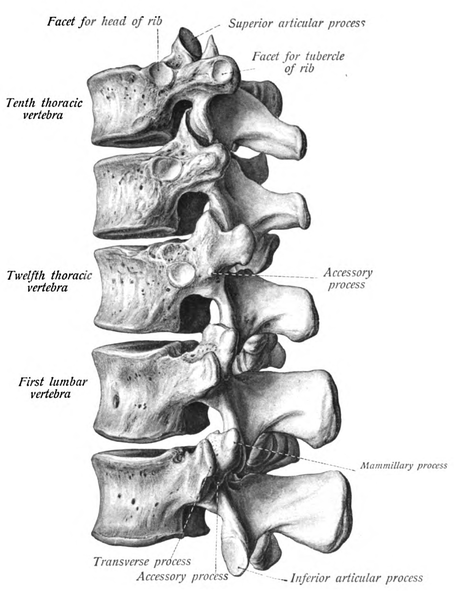 File Sobo 1909 9 Png Wikipedia