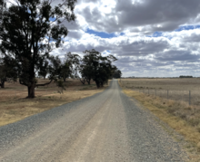 Solly Road south of Bunallo Road, looking north across Green Gully the old course of the Murray River Solly Road, Mathoura.png