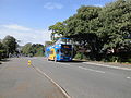 Southern Vectis 614 Scratchells Bay (N14 WAL), a DAF DB250/Northern Counties Palatine 2, in York Avenue, East Cowes, Isle of Wight, operating a shuttle service between the Bestival 2011 site and the Red Funnel ferry terminal in East Cowes.