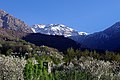 * Nomination Toubkal National Park, Morocco. By User:Twhrl --Reda benkhadra 00:42, 30 May 2018 (UTC) * Promotion  Support - Beautiful. There is one very light dust spot that should be cleaned, but it is really light. But what does this mean? "Accuracy of geographic information is about 2 km due to manually assigned camera locations." Does that mean the Geo's precision is misleading and likely to be off by as much as 2 km? And that's because of what? -- Ikan Kekek 03:41, 30 May 2018 (UTC)  Comment Thank you for support and nomination. My GPS ran out of battery during that time on that location. However, I could still geotag the photo since I knew where I took it roughly (±1 km). Is there any other way to add measurement accuracy/precision to the geocoordinates? I added the object location coordinates and removed the camera location coordinates --Toni Wöhrl 12:47, 5 June 2018 (UTC)