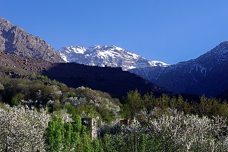 the valley in spring