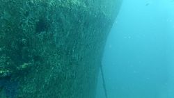 The starboard bow and anchor chain of the Brianna H.