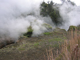 Steaming Bluff