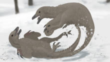 Restoration of two individuals playing in snow Stenonychosaurus-inequalis-by-Midiaou.png