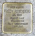 image=File:Stolperstein_Fredy_Rosenburg_Kehl.jpg