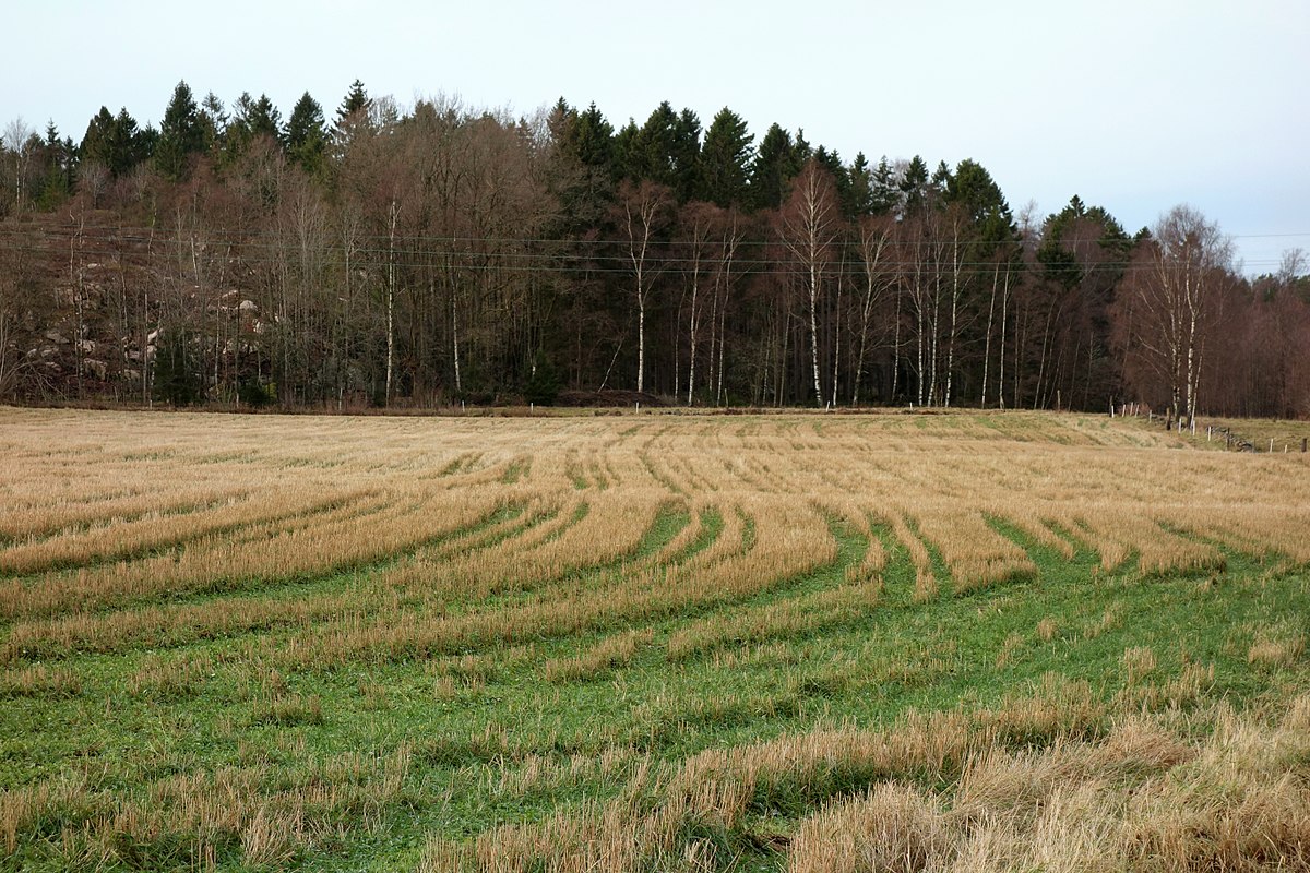 Crop residue processing machines