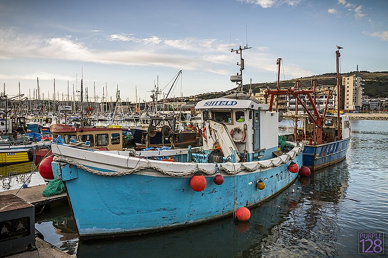 After using our Edinburgh to Swansea removals service you'll be able to get to know your new home city. Like Edinburgh it has a maritime side. This photo shows the marina.