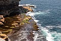 Sydney (AU), Coastal Cliff Walk -- 2019 -- 2326.jpg