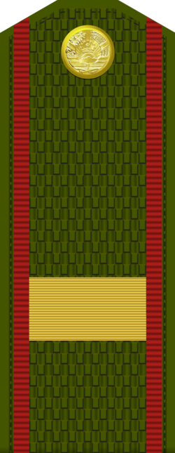 Миниатюра для Файл:Tajikistan-Army-OR-7.png