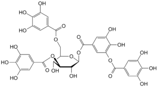 Tannin class of astringent, bitter plant polyphenolic chemical compounds