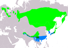 Mapa występowania