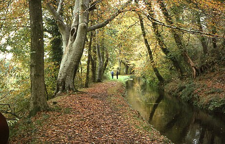 Tavistock Canal