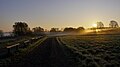 Tegeler Fließ Sonnenaufgang.jpg