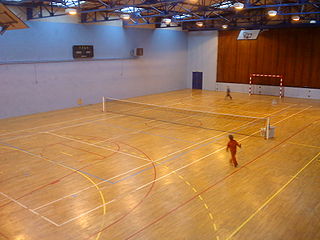 <span class="mw-page-title-main">Wood court</span> Type of tennis court