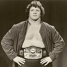 Terry Funk NWA Champion (cropped).jpg