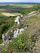 Schweinbarther Berg, Lower Austria