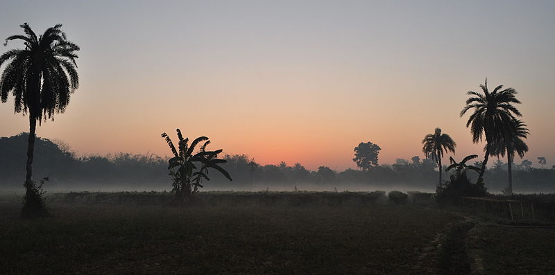 File:The Morning Raga (8535082434).jpg