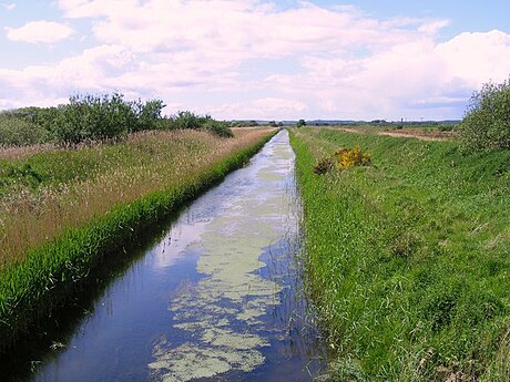 File:The Spynie Canal - geograph.org.uk - 1345710.jpg