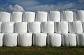 * Nomination Three tiers of silage bales. --W.carter 23:01, 15 September 2016 (UTC) * Promotion In first instance I got doubts about the perspective, but I don't see anything rong. Photo is also sharp enough for Q1quality --Michielverbeek 04:59, 16 September 2016 (UTC)