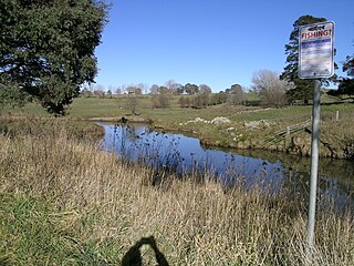 Tia River river in New South Wales, Australia