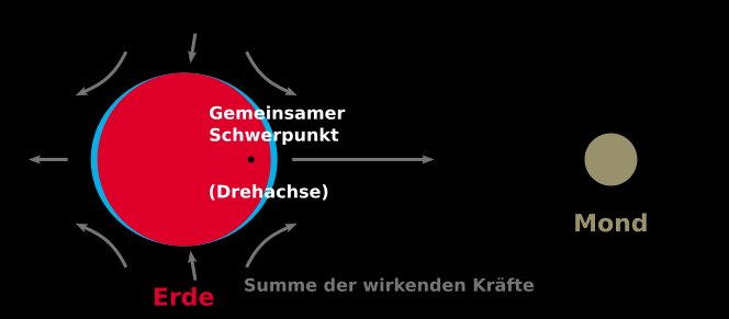 File:Tide Schema Kräfte.svg