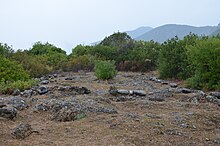 The remains of Temple III on the acropolis Timpone della Motta Temple III AvL.JPG