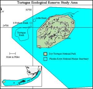 Tortugas Bank overview map Tortugas Bank.gif