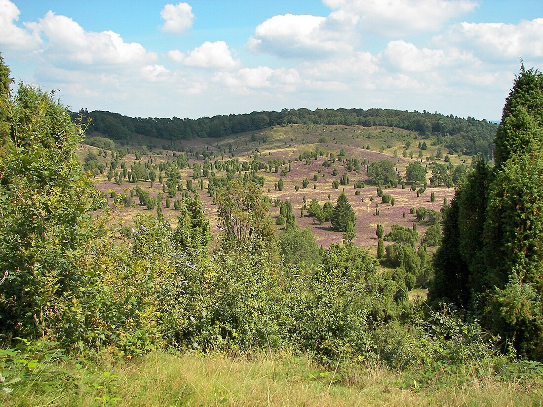 Parki krajobrazowe w Niemczech